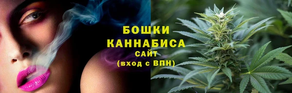 синтетический гашиш Заводоуковск