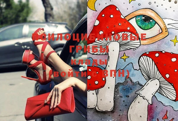 скорость Заволжск