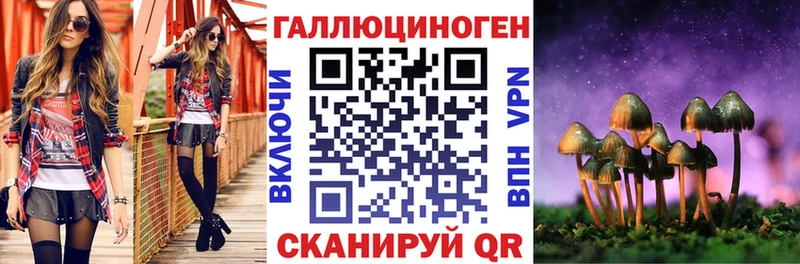 это наркотические препараты даркнет сайт Иланский Галлюциногенные грибы Psilocybe