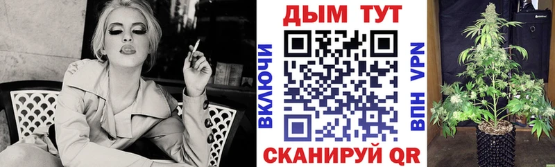 Бошки Шишки марихуана  Иланский 